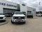 2027 Ford Super Duty F-450 DRW F-450® Platinum®