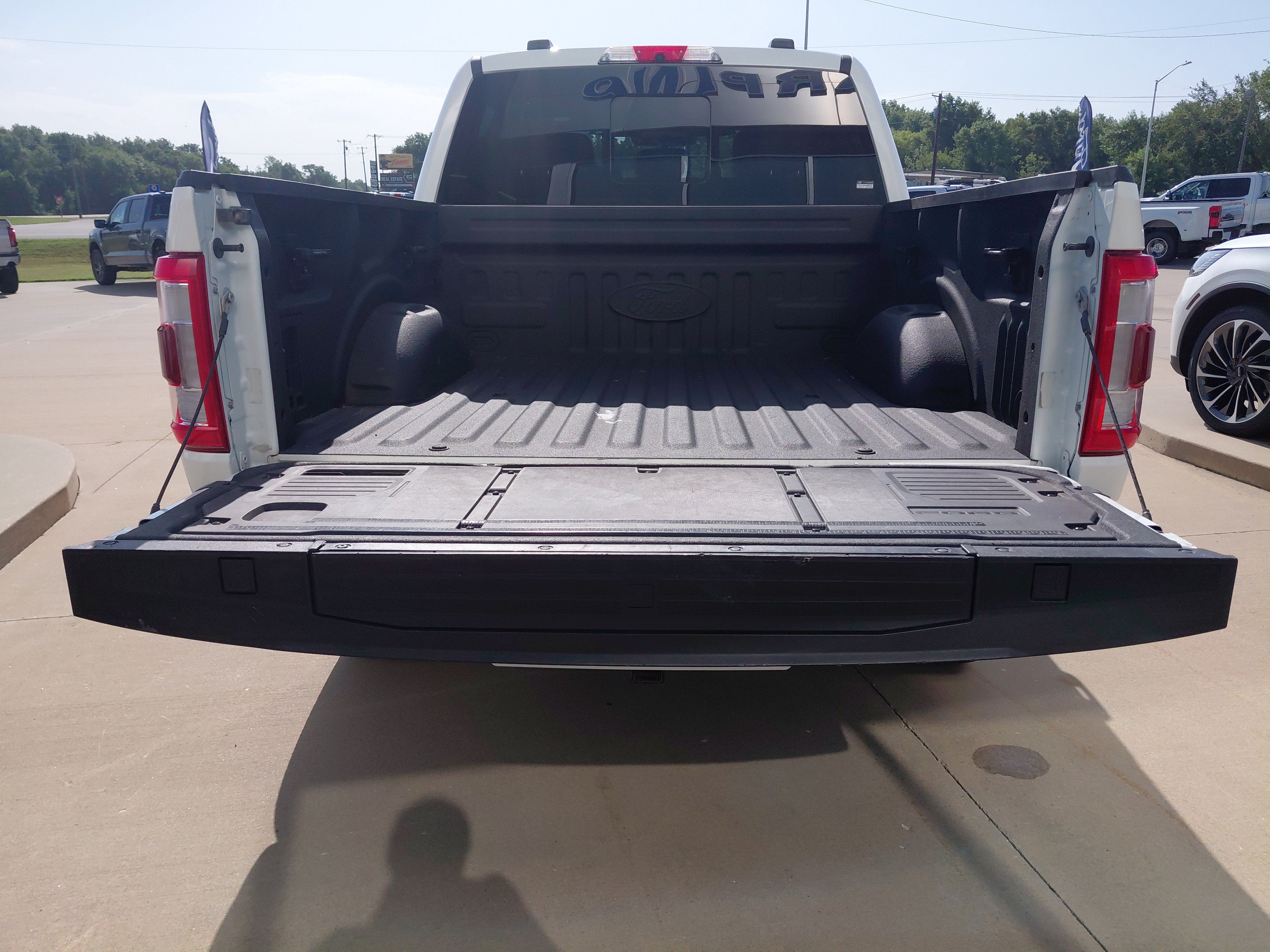 2021 Ford F-150 Platinum
